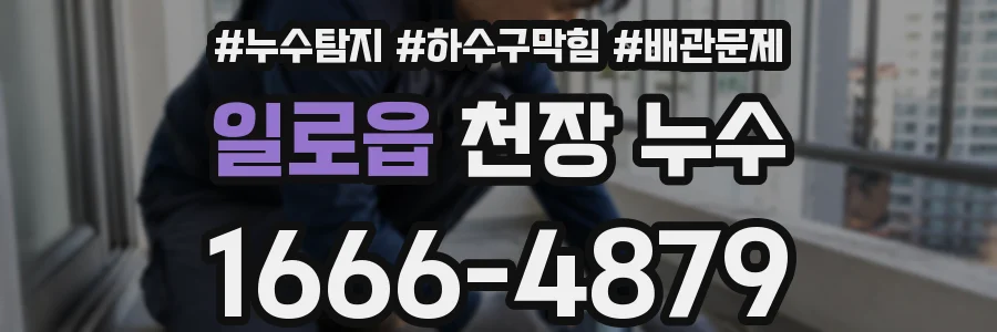 일로읍 천장 누수