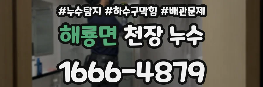 해룡면 천장 누수