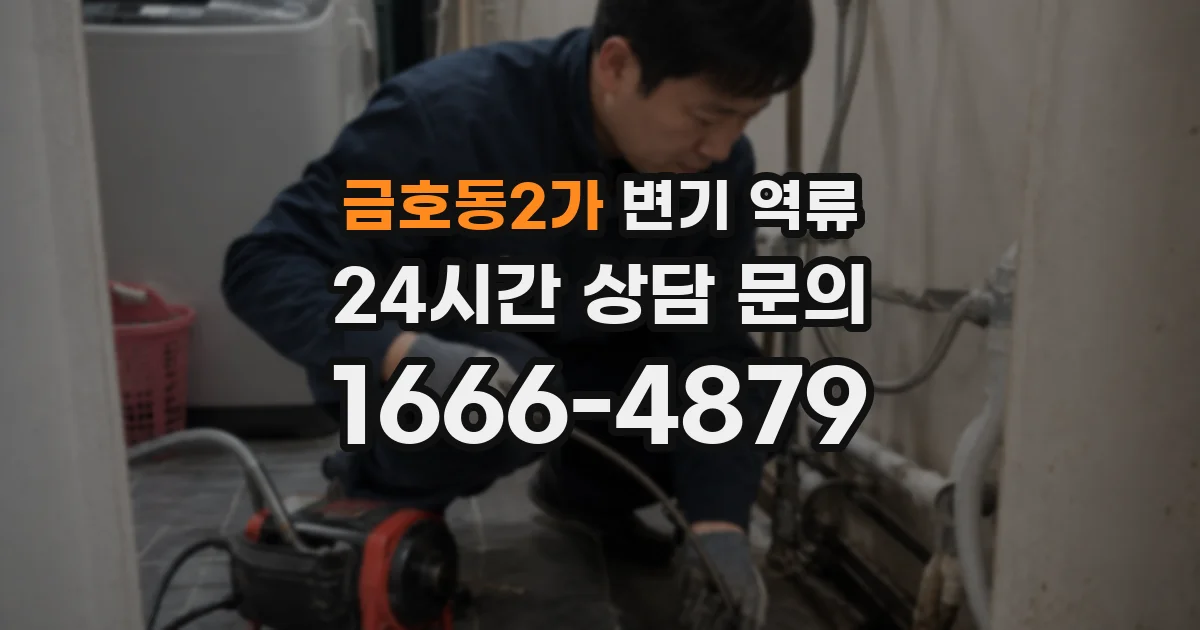 금호동2가 변기 역류