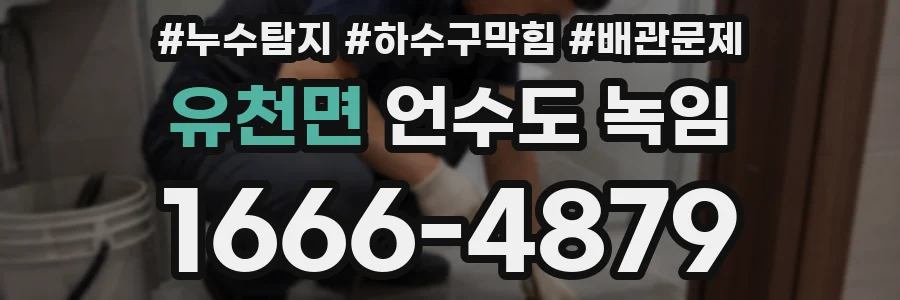 유천면 언수도 녹임