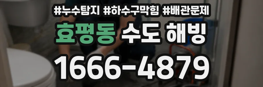 효평동 수도 해빙