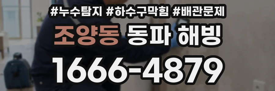 조양동 동파 해빙