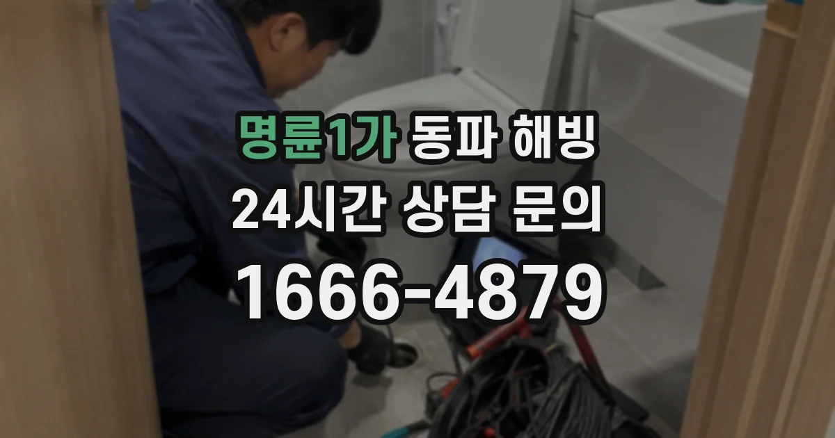 명륜1가 동파 해빙