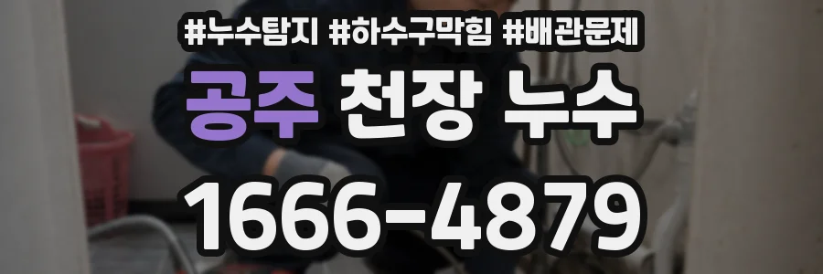 공주 천장 누수