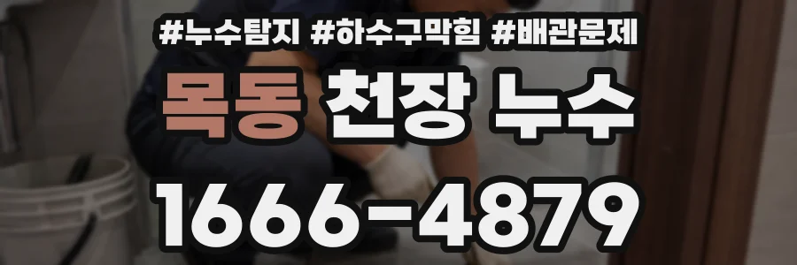 목동 천장 누수