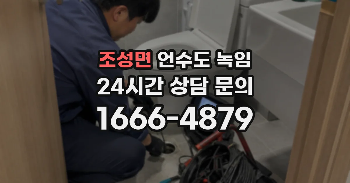 조성면 언수도 녹임