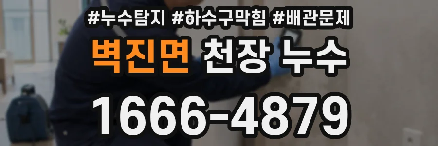 벽진면 천장 누수
