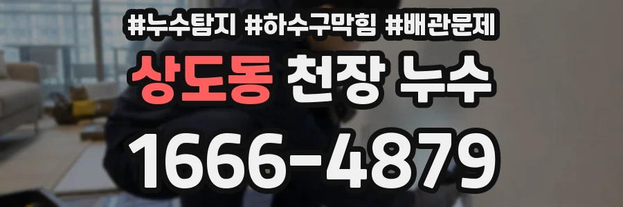 상도동 천장 누수