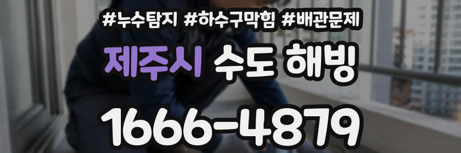 제주시 수도 해빙