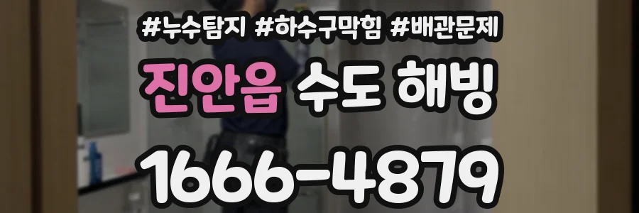 진안읍 수도 해빙