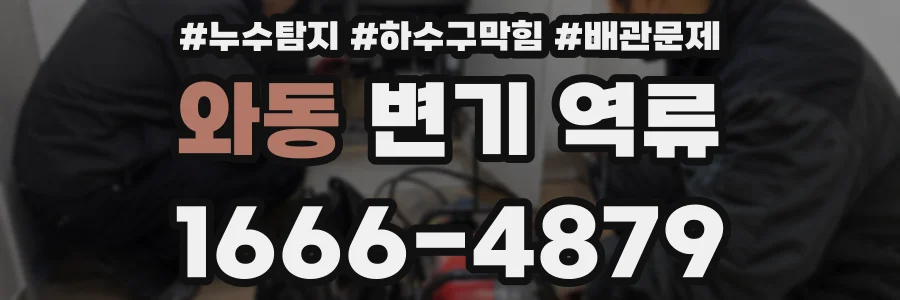 와동 변기 역류