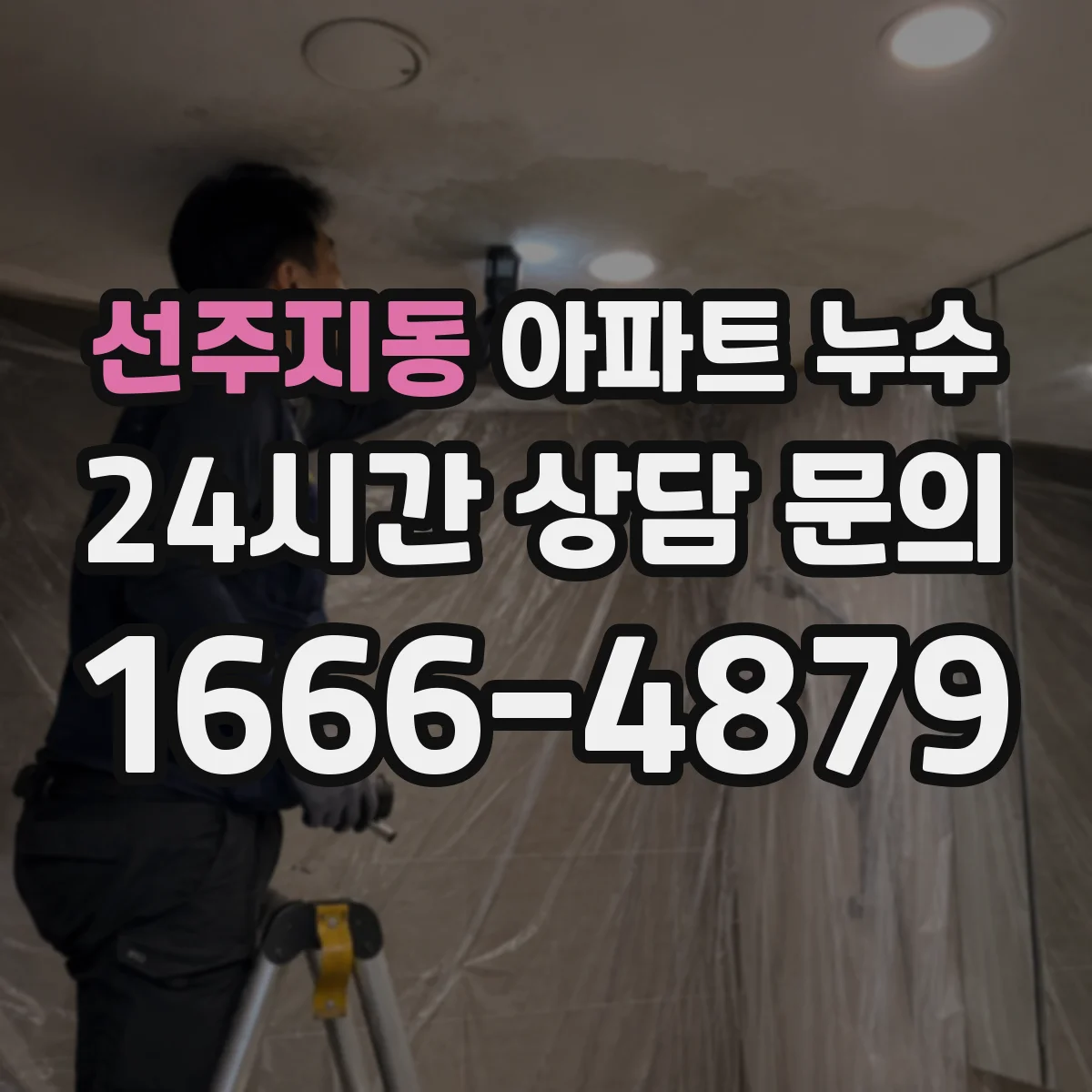 선주지동 아파트 누수