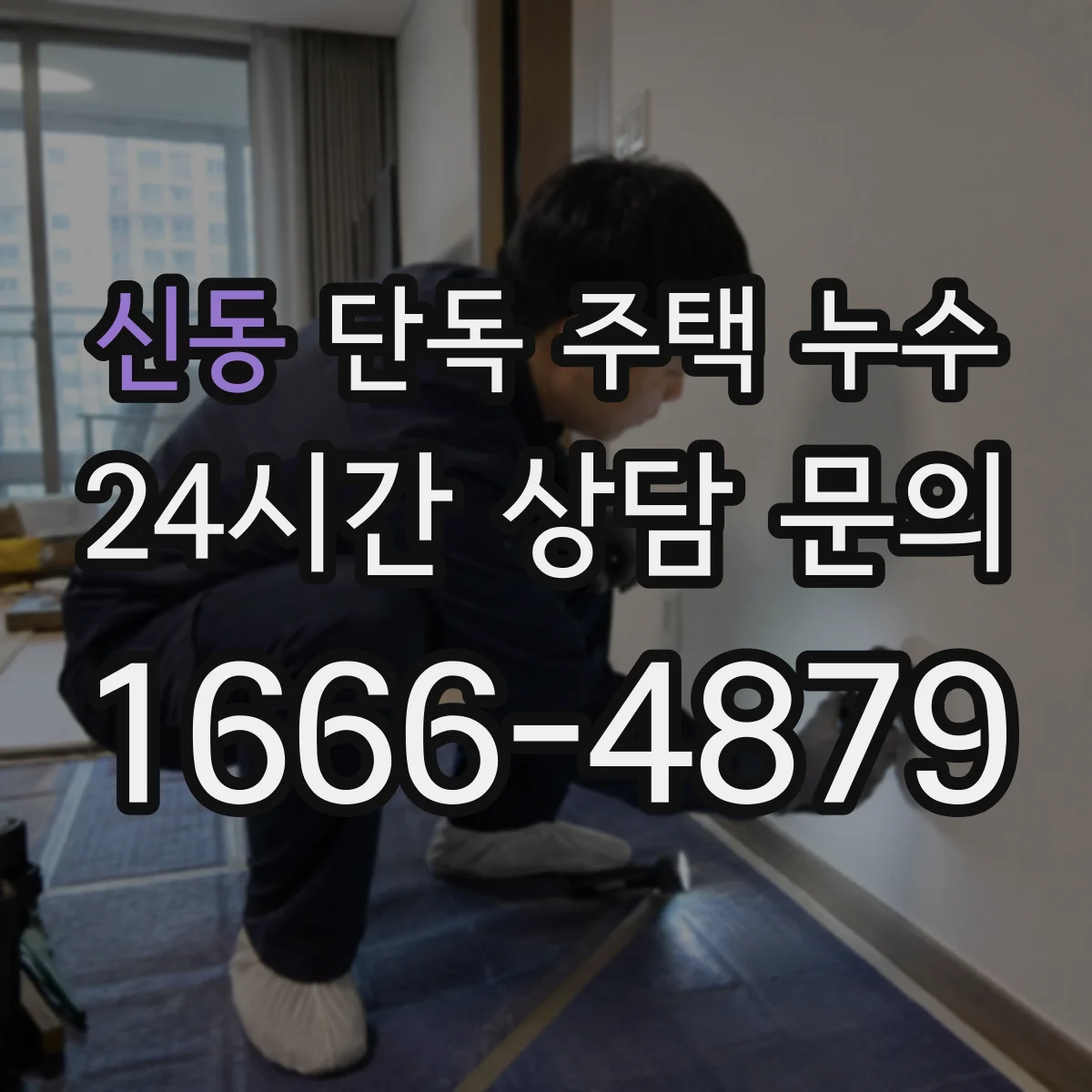 신동 단독 주택 누수