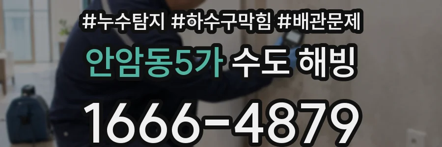 안암동5가 수도 해빙