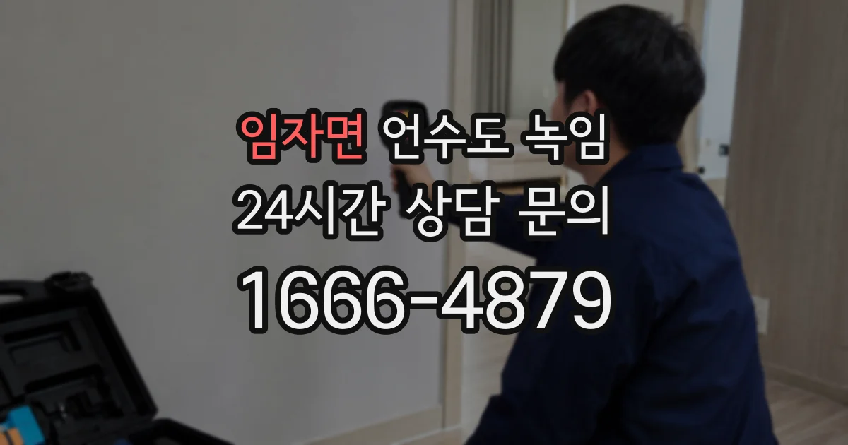 임자면 언수도 녹임