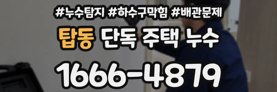 탑동 단독 주택 누수