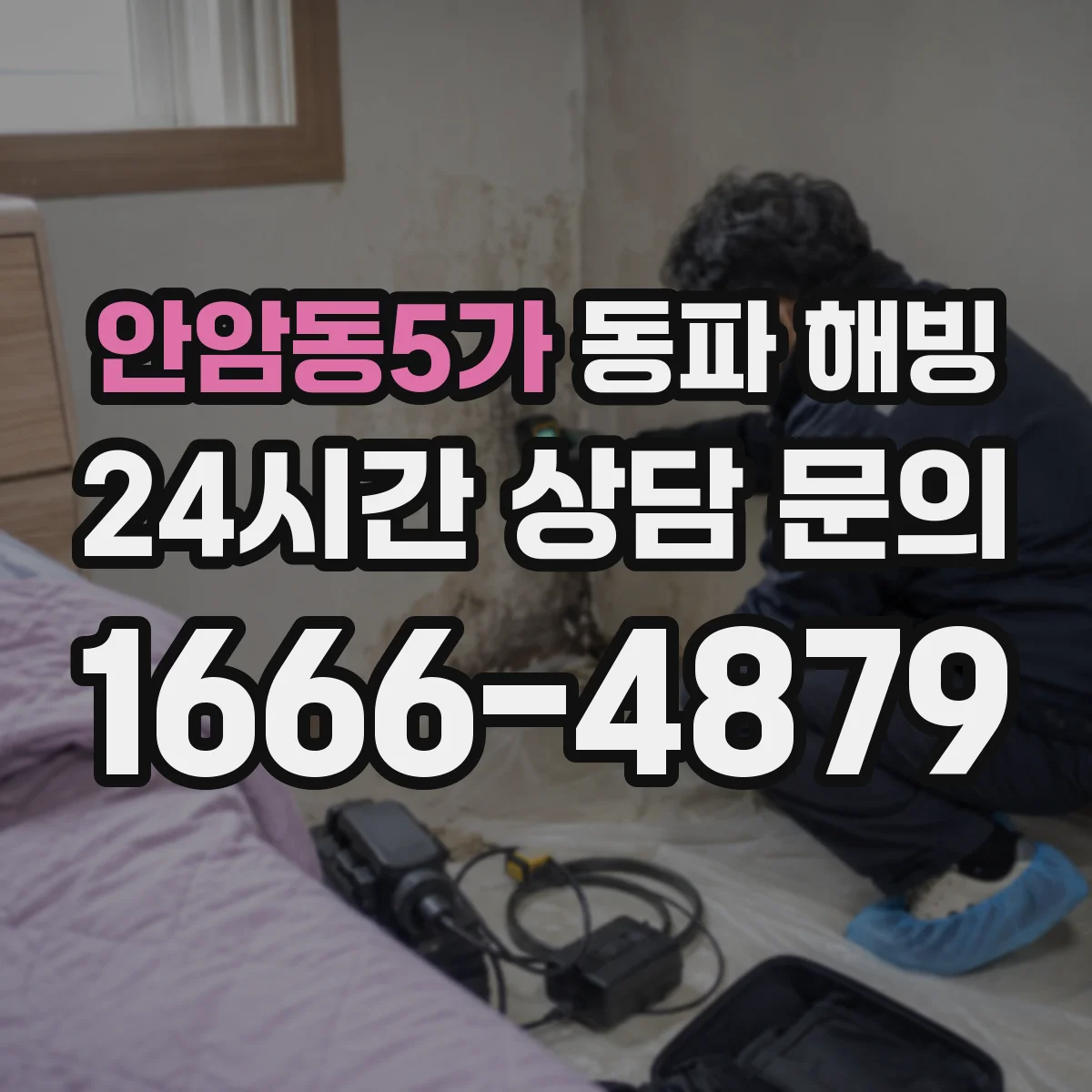 안암동5가 동파 해빙