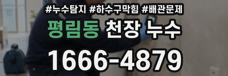평림동 천장 누수