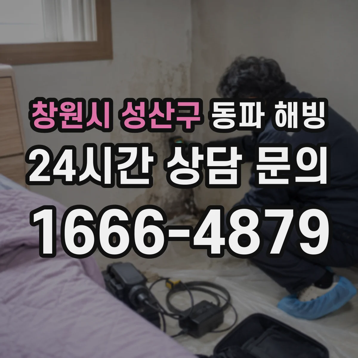 창원시 성산구 동파 해빙