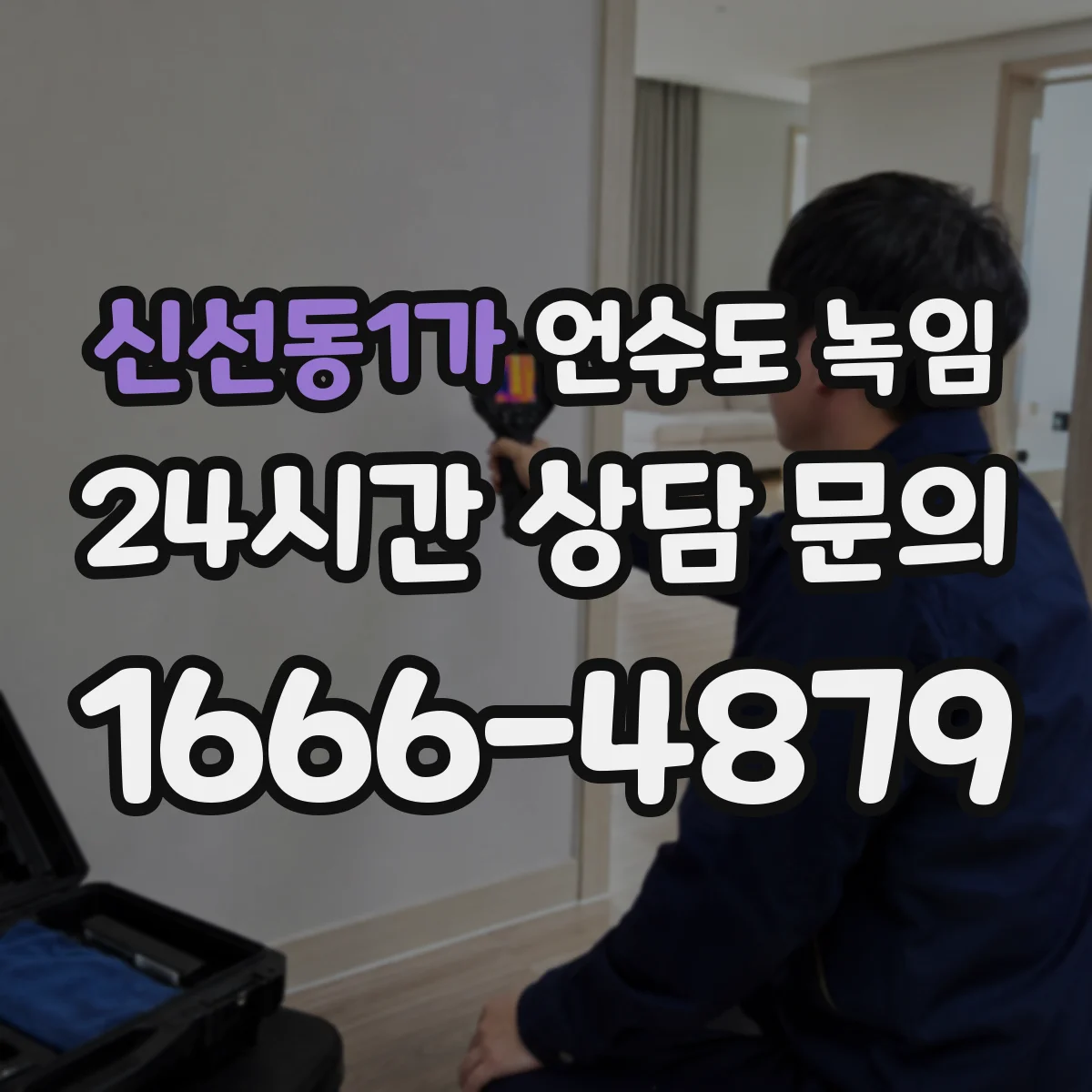 신선동1가 언수도 녹임