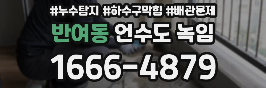 반여동 언수도 녹임
