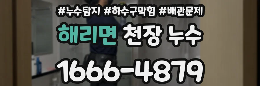 해리면 천장 누수
