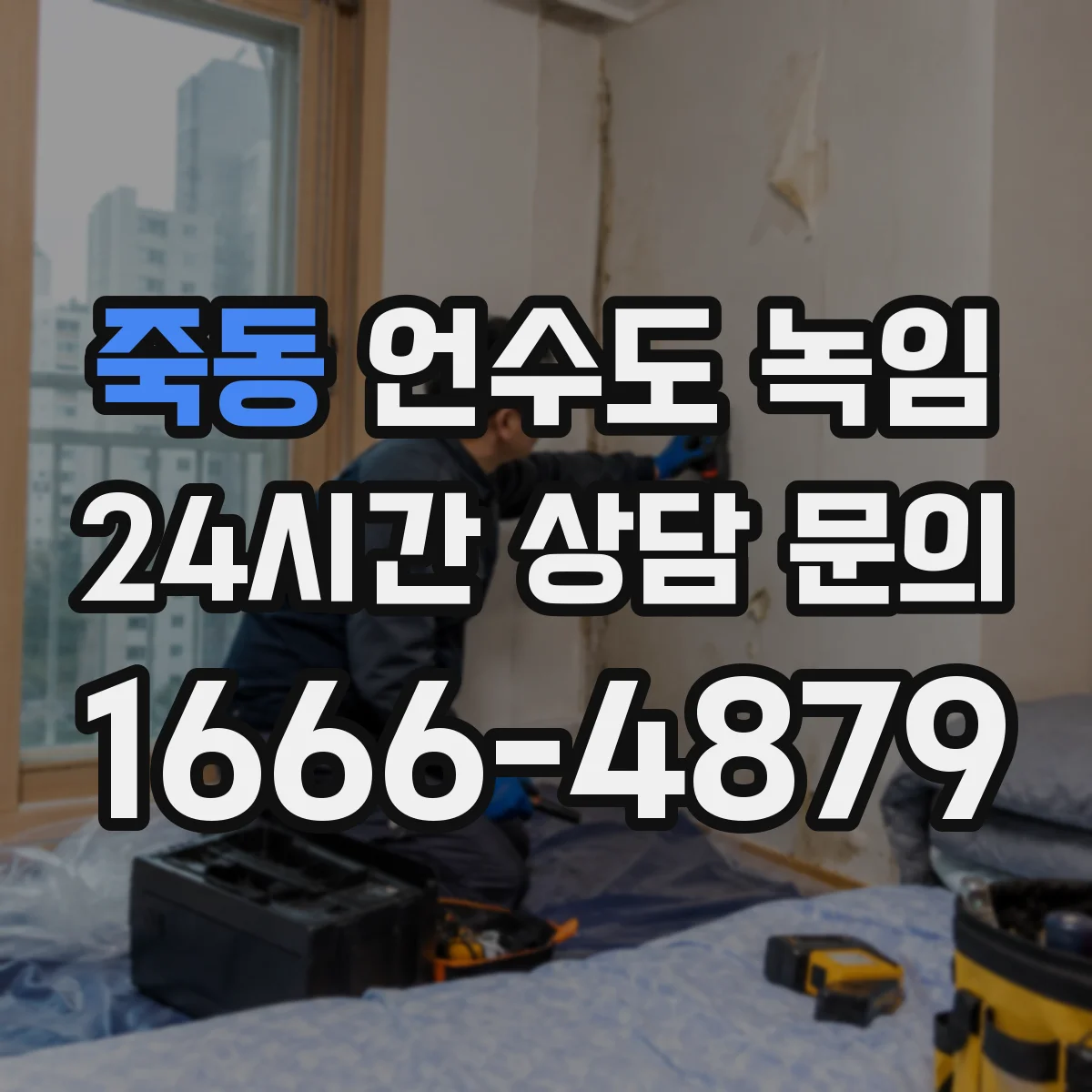 죽동 언수도 녹임