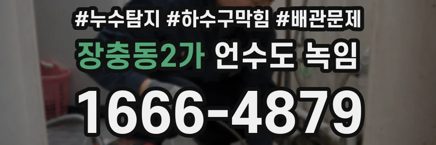 장충동2가 언수도 녹임