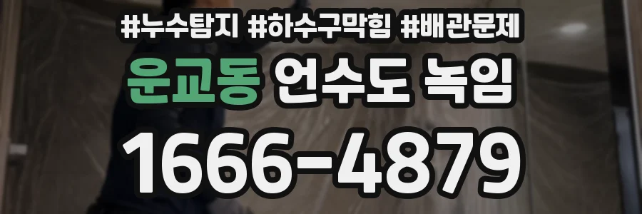 운교동 언수도 녹임