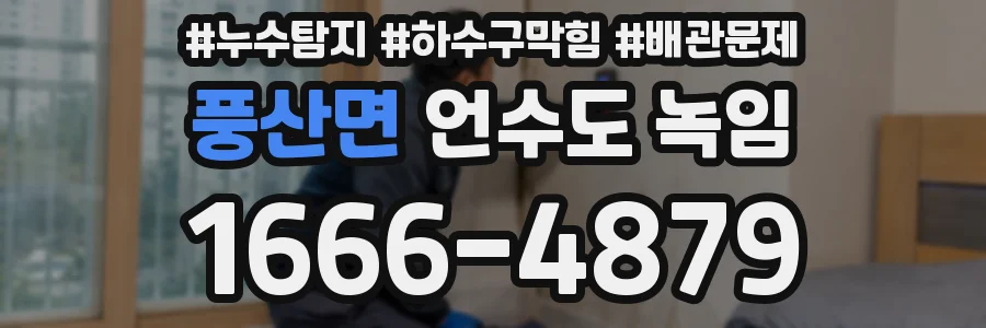 풍산면 언수도 녹임