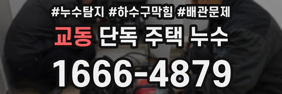 교동 단독 주택 누수