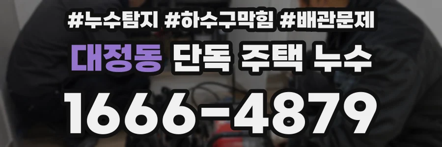 대정동 단독 주택 누수