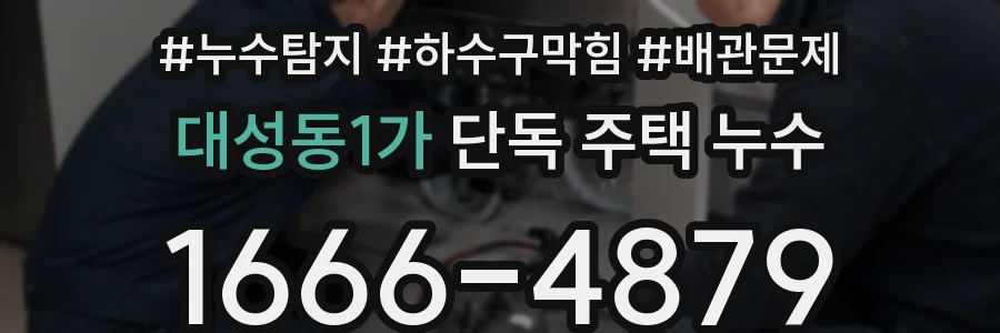 대성동1가 단독 주택 누수