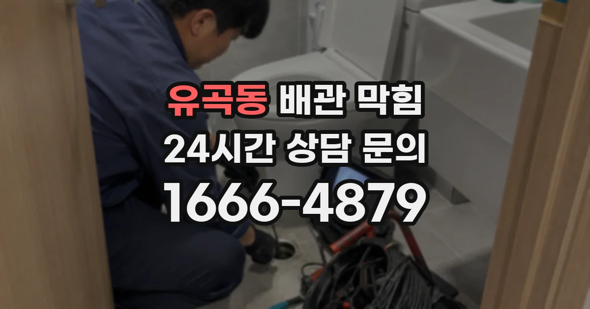 유곡동 배관 막힘