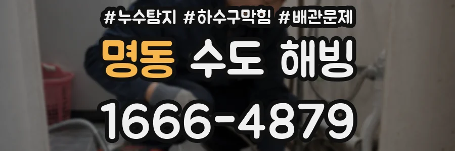 명동 수도 해빙