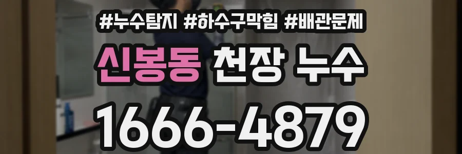 신봉동 천장 누수