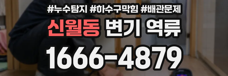 신월동 변기 역류