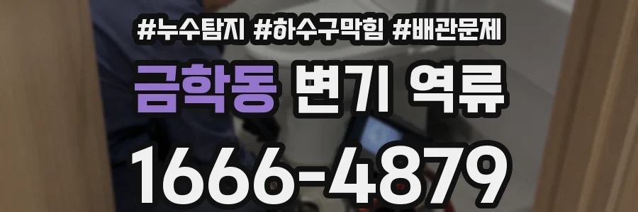 금학동 변기 역류
