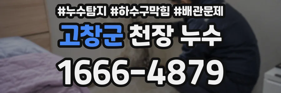 고창군 천장 누수