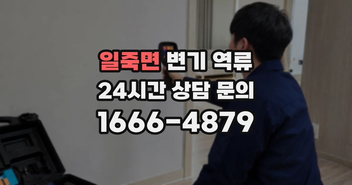 일죽면 변기 역류