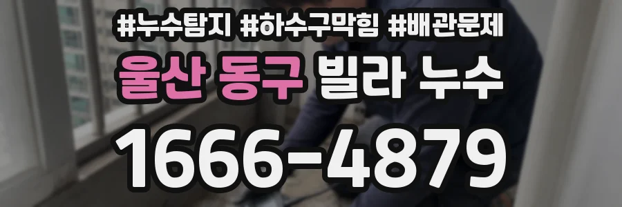 울산 동구 빌라 누수