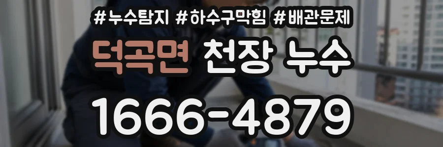 덕곡면 천장 누수