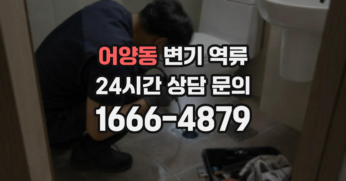 어양동 변기 역류