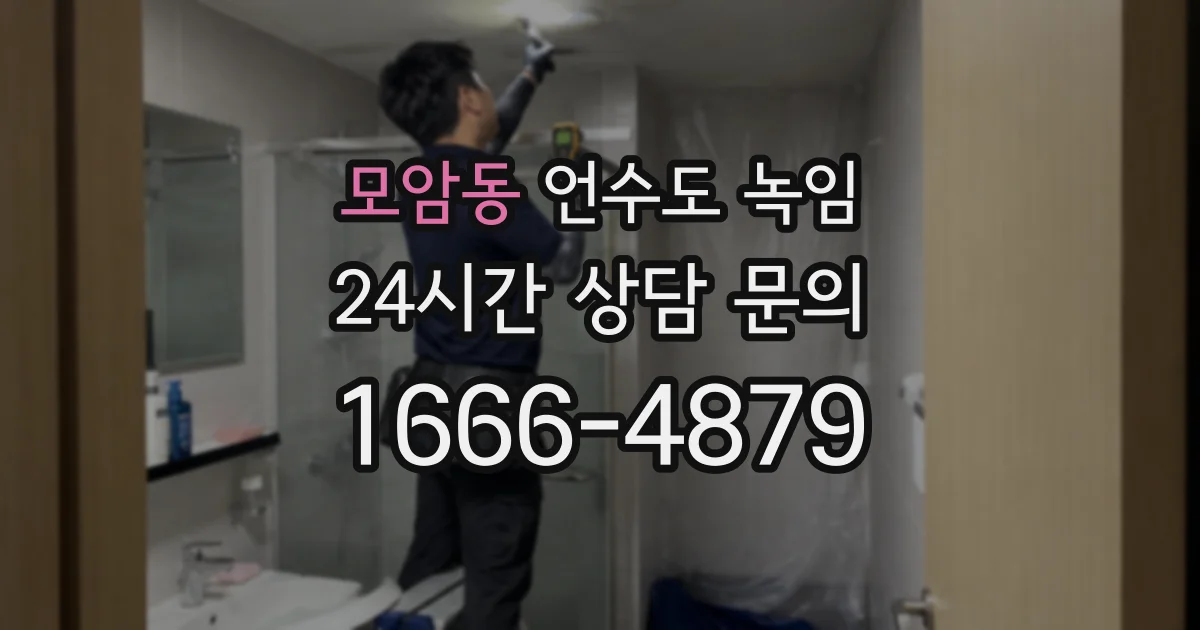 모암동 언수도 녹임