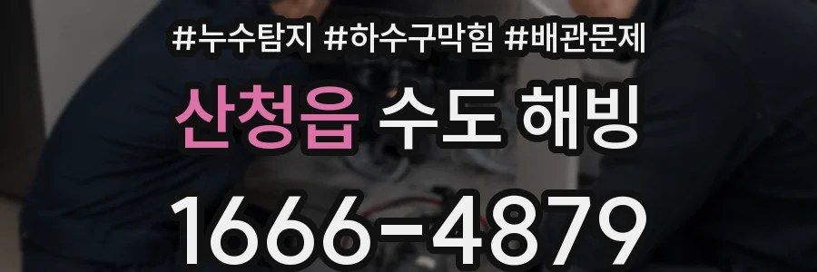 산청읍 수도 해빙