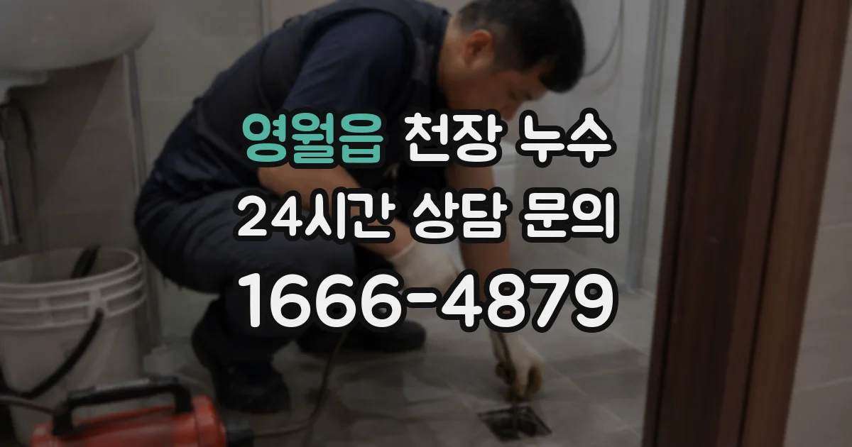 영월읍 천장 누수