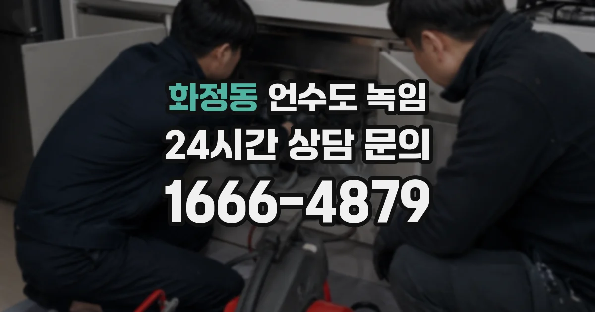 화정동 언수도 녹임