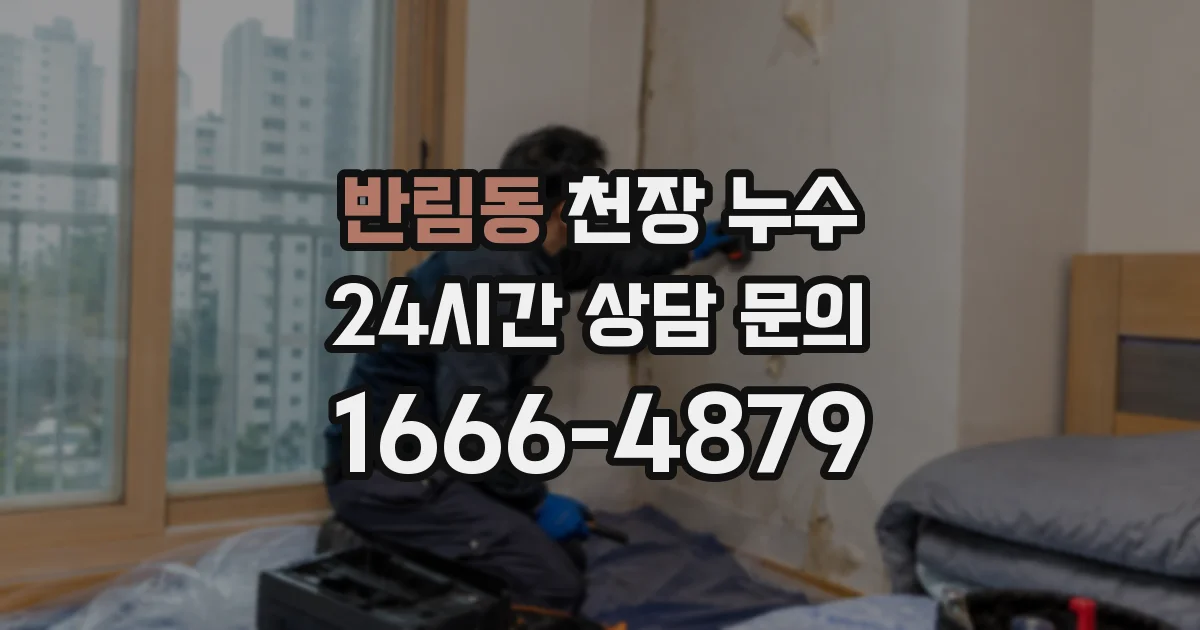 반림동 천장 누수