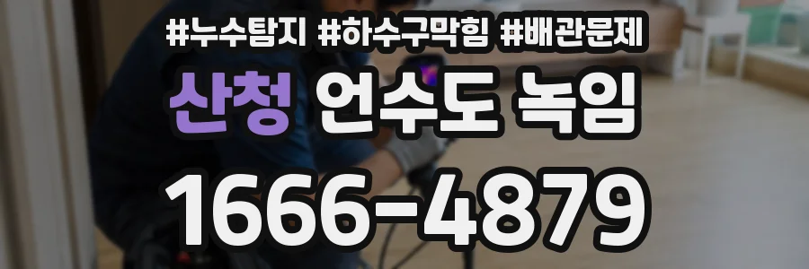 산청 언수도 녹임