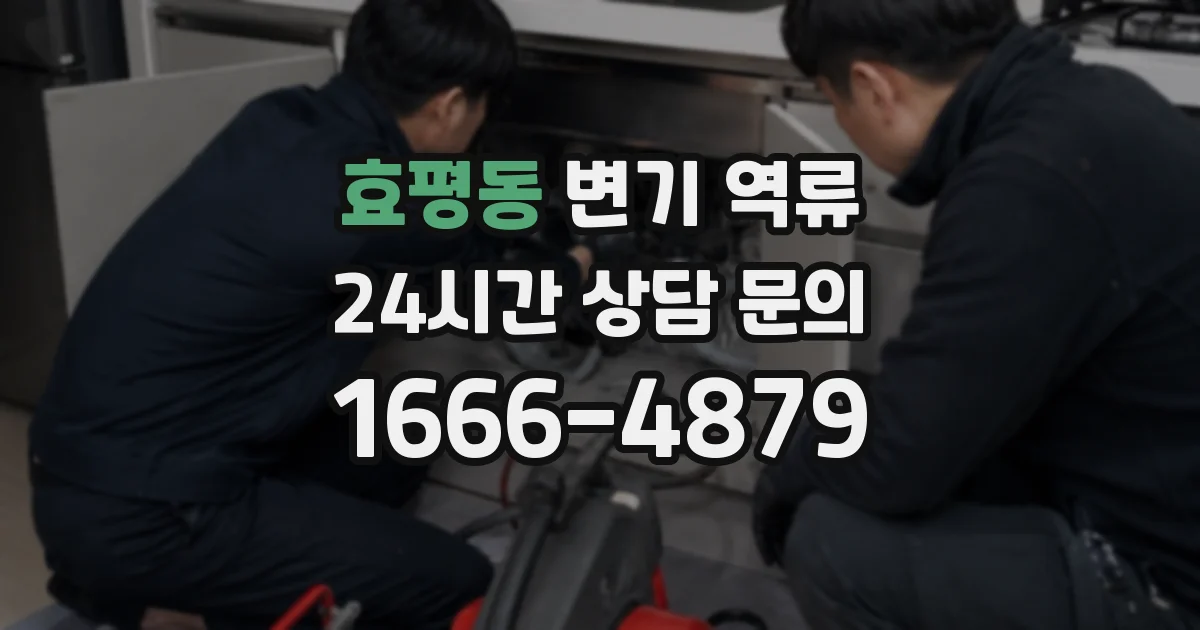 효평동 변기 역류